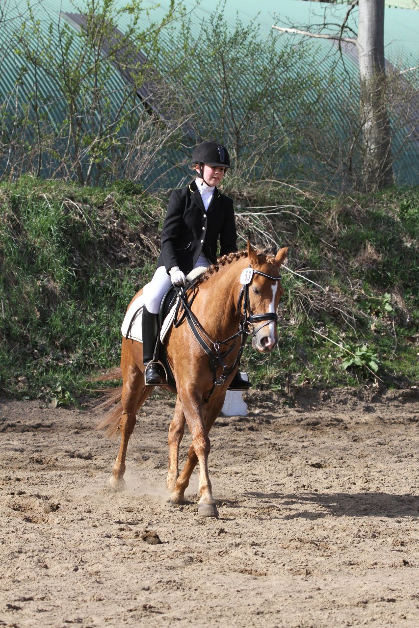 Bild 1169 - WBO-Turnier am 9.4.11